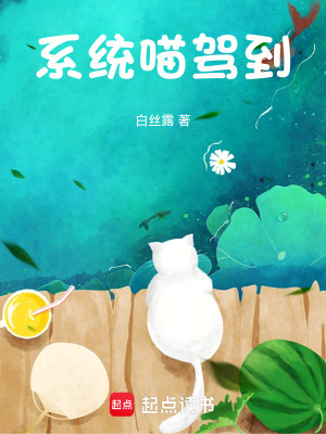 系統喵駕到