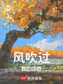 風吹過我的田野