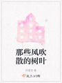 那些風吹散的樹葉
