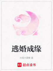 逃婚成緣