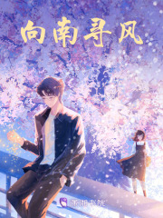 向南尋風