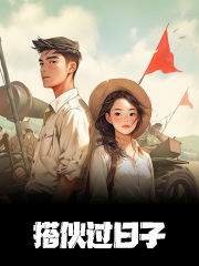 搭伙过日子小说，搭伙过日子江嘉意陆安清