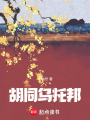 胡同烏托邦