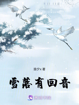 雪落有回音