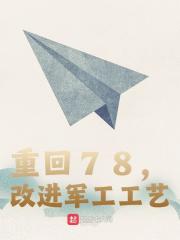 重回78，改进军工工艺（刘韬王铁柱）在线免费阅读