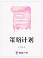 策略計劃