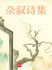 雜敘詩(shī)集