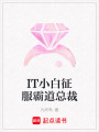 IT小白征服霸道總裁
