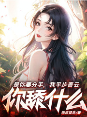 无删减版《平步青云》章节免费阅读