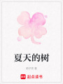 夏天的樹