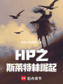 HP之斯萊特林崛起