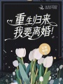 重生歸來，我要離婚！