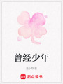 曾經(jīng)少年