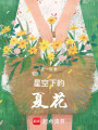 星空下的夏花