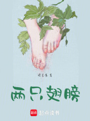 兩只翅膀