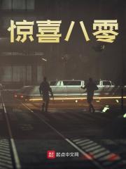 惊喜八零（李小烽林秀英）小说阅读，最新章节无删减-经典文学