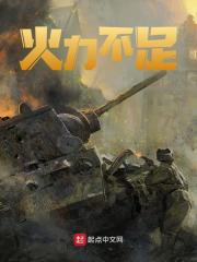 《火力不足》全集免费在线阅读（张武李云龙）