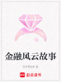 金融風云故事