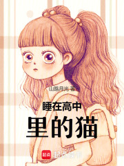 睡在高中里的貓