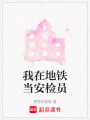 我在地鐵當安檢員