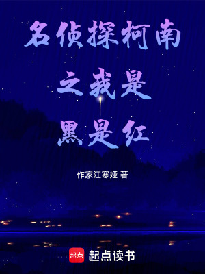 名偵探柯南之我是黑是紅