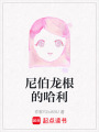 尼伯龍根的哈利