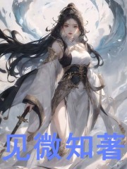 叶琳唐三（见微知著小说）精彩章节在线阅读-胖达文学