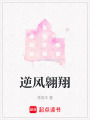 逆風翱翔