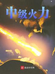 无删减小说《中级火力》精彩章节阅读
