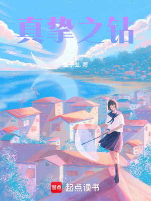 真摯之鉆