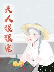 《夫人狠狠宠》无删减章节目录在线阅读