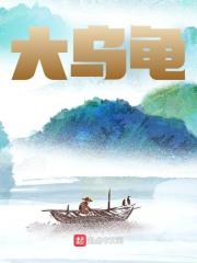大乌龟杨贵敖广，大乌龟小说免费阅读
