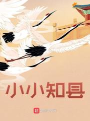 陆鹏杜和小说（陆鹏杜和小小知县）章节无弹窗试读