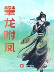 求攀龙附凤小说免费资源
