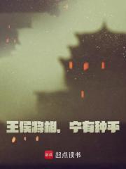 揭竿起义小说，揭竿起义在线阅读