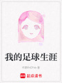 我的足球生涯