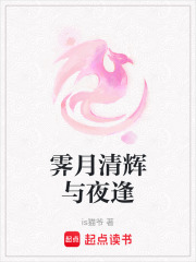 霽月清輝與夜逢