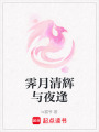 霽月清輝與夜逢