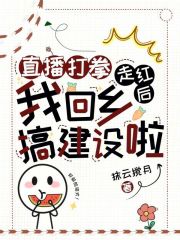 直播打拳走紅后，我回鄉搞建設啦