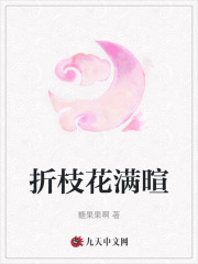 折枝花满暄主角林司念顾景安小说无删减在线阅读-经典文学