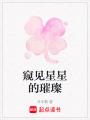 窺見星星的璀璨