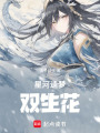 星河遺夢：雙生花