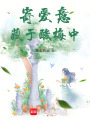 寄愛(ài)意藏于酸梅中