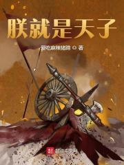 求朕就是天子小说免费资源