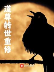 苏辰穷奇小说道尊转世重修在哪里可以看