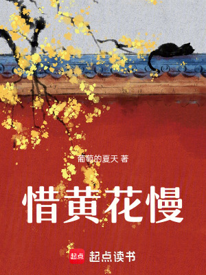 惜黃花慢