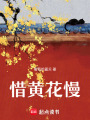 惜黃花慢