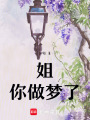姐，你做夢了