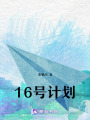 16號計劃