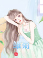 白色雛菊